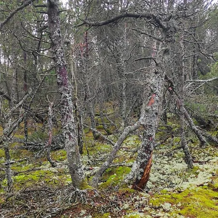 Klara W Ogrodzie Nyaraló