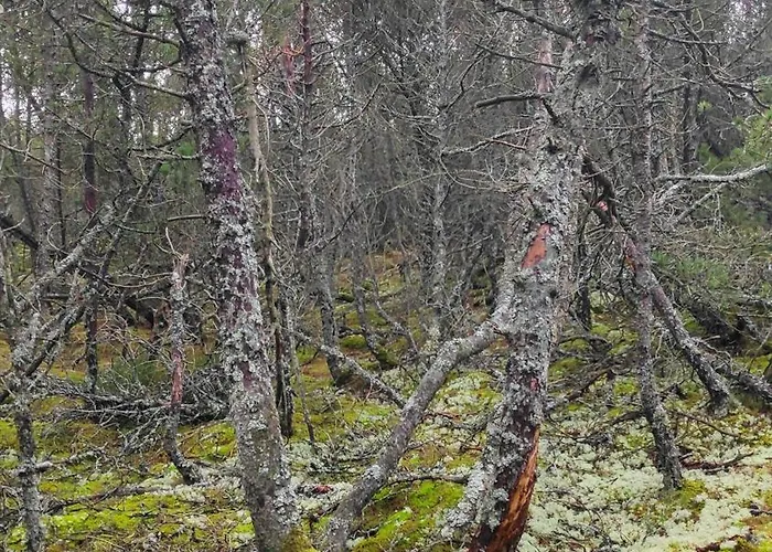 Klara W Ogrodzie Casa de Férias
