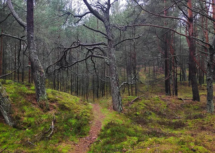 Casa de Férias Klara W Ogrodzie *